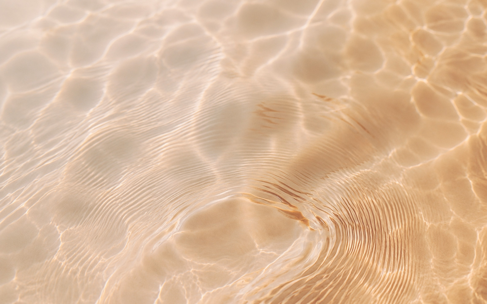 deep-relax-signature