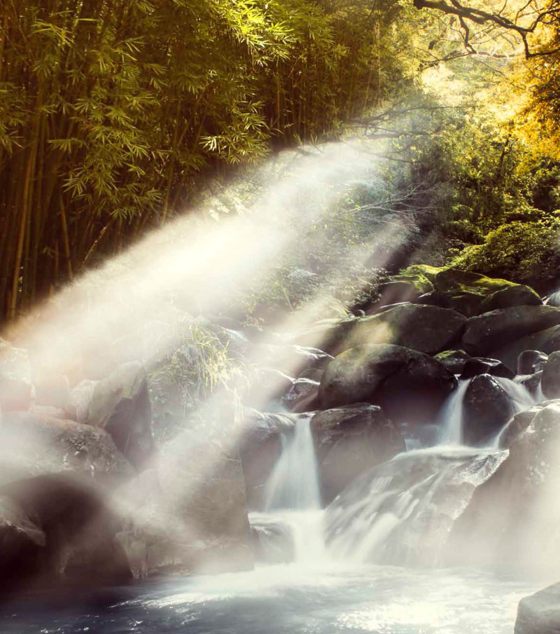 source-of-vitality